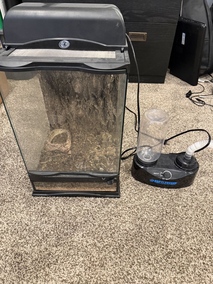Reptile Terrarium Setup