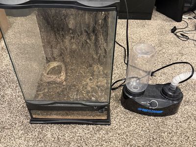 Reptile Terrarium Setup