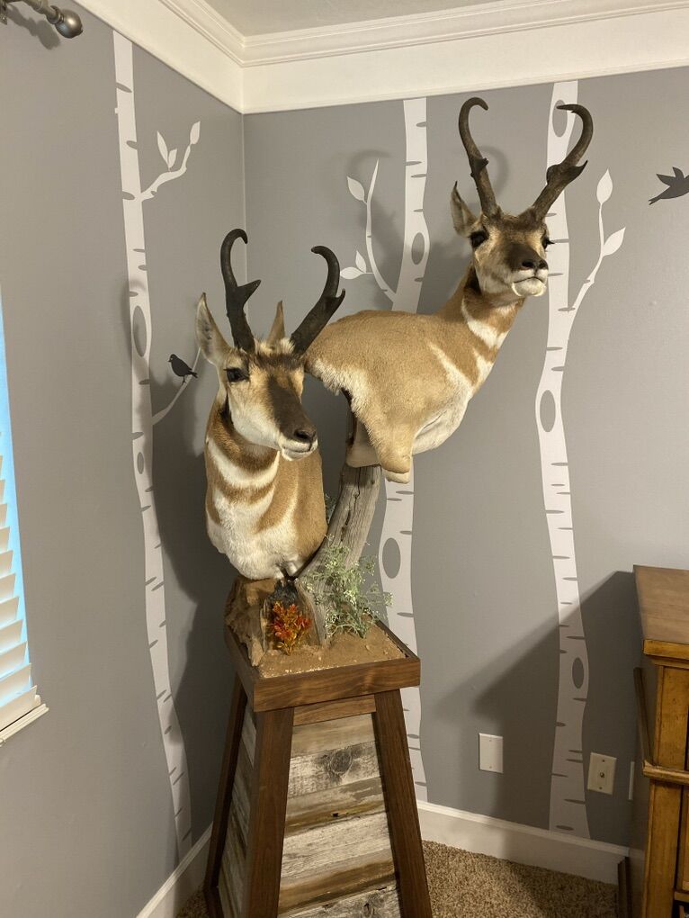 Custom Taxidermy Pedestals