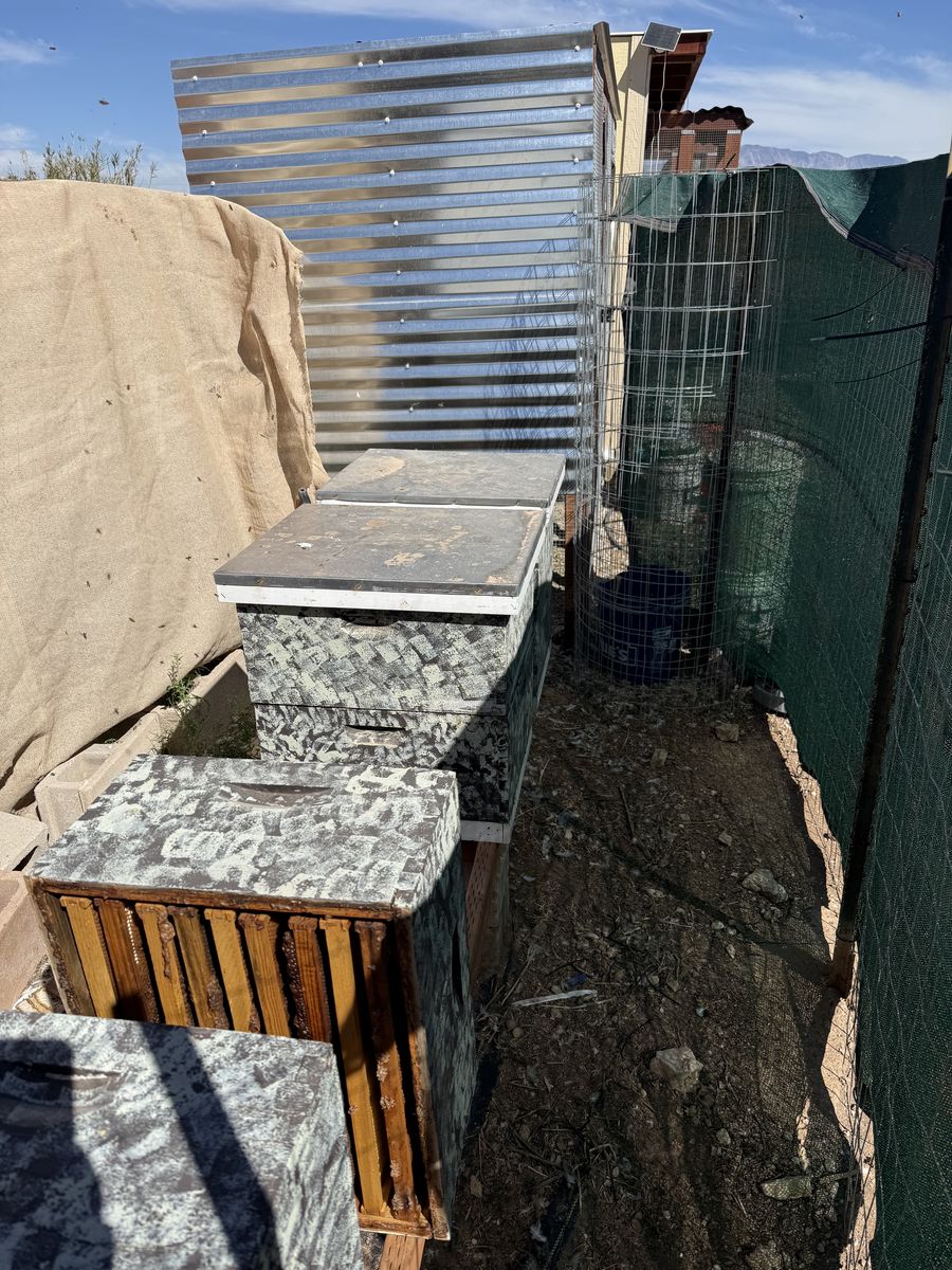 Beehives For Sale