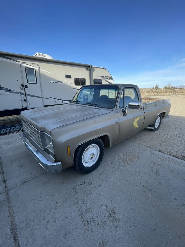 1976 Chevy c20