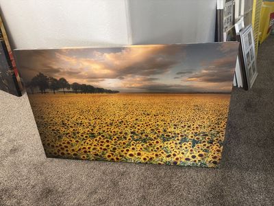 Large Framed Sunflower Field Wall Art Decor - 47”-30” Vibrant Landscape Print for Home/Office