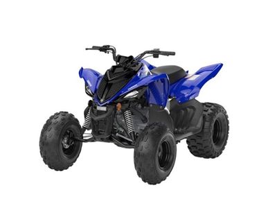 2026 YAMAHA Raptor 110 - Y16372
