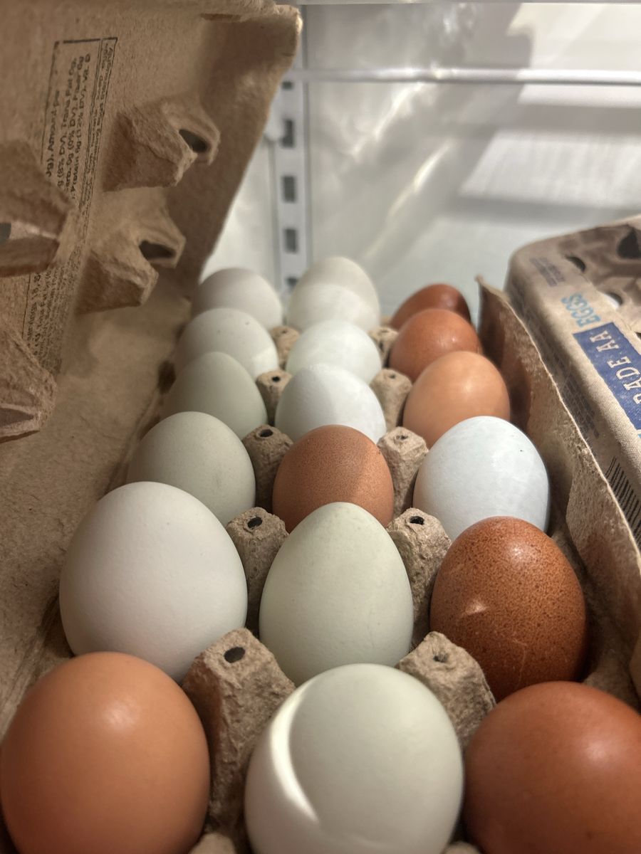 Farm Fresh Mixed Color Eggs - 18 packs