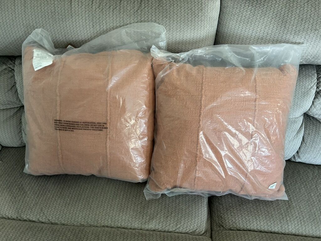 2 - 20x20 Burnt Orange Indoor/Outdoor Throw Pillows