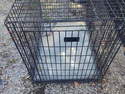 Big dog kennel