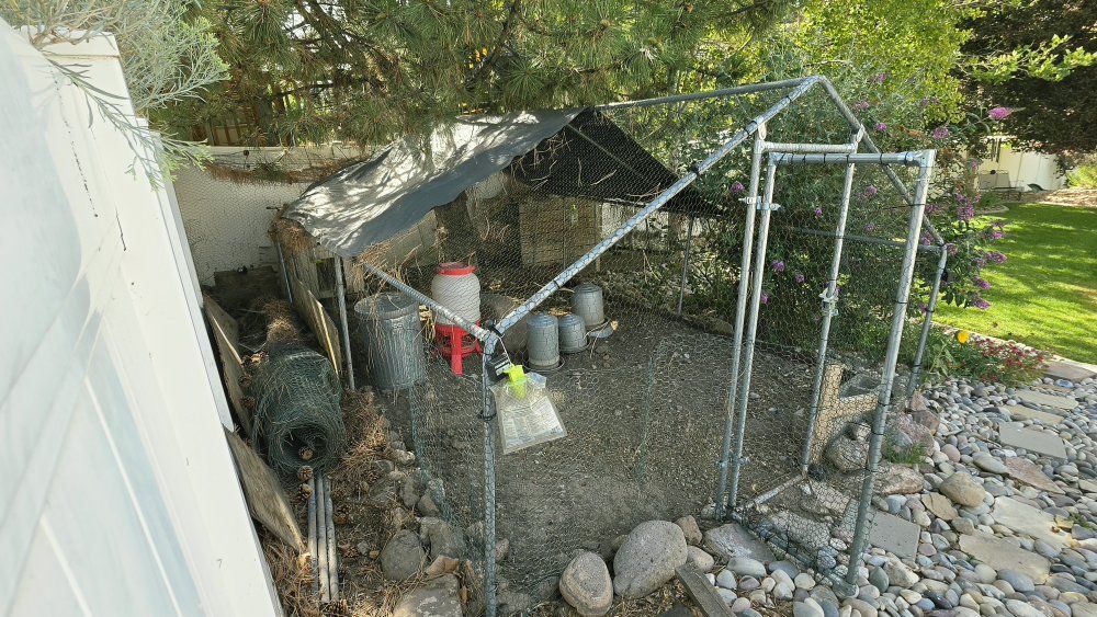 Main image 17