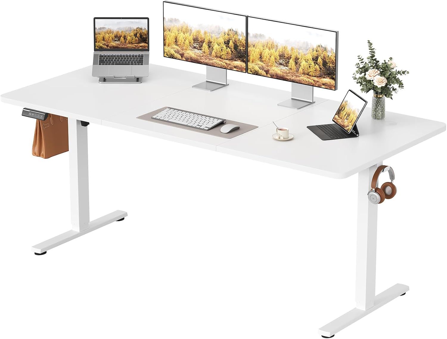 63 Inch Electric Standing Desk, Height Adjustable Sit to Stand Desk