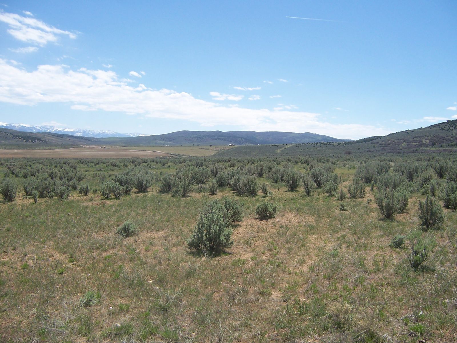 Agricultural/REC Mini Parcel in Elk Meadows