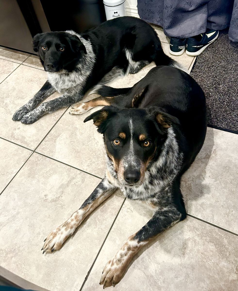 Max & Luna