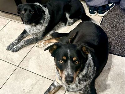 Max & Luna