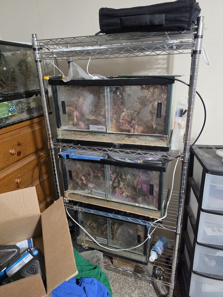 Various tanks for sale
