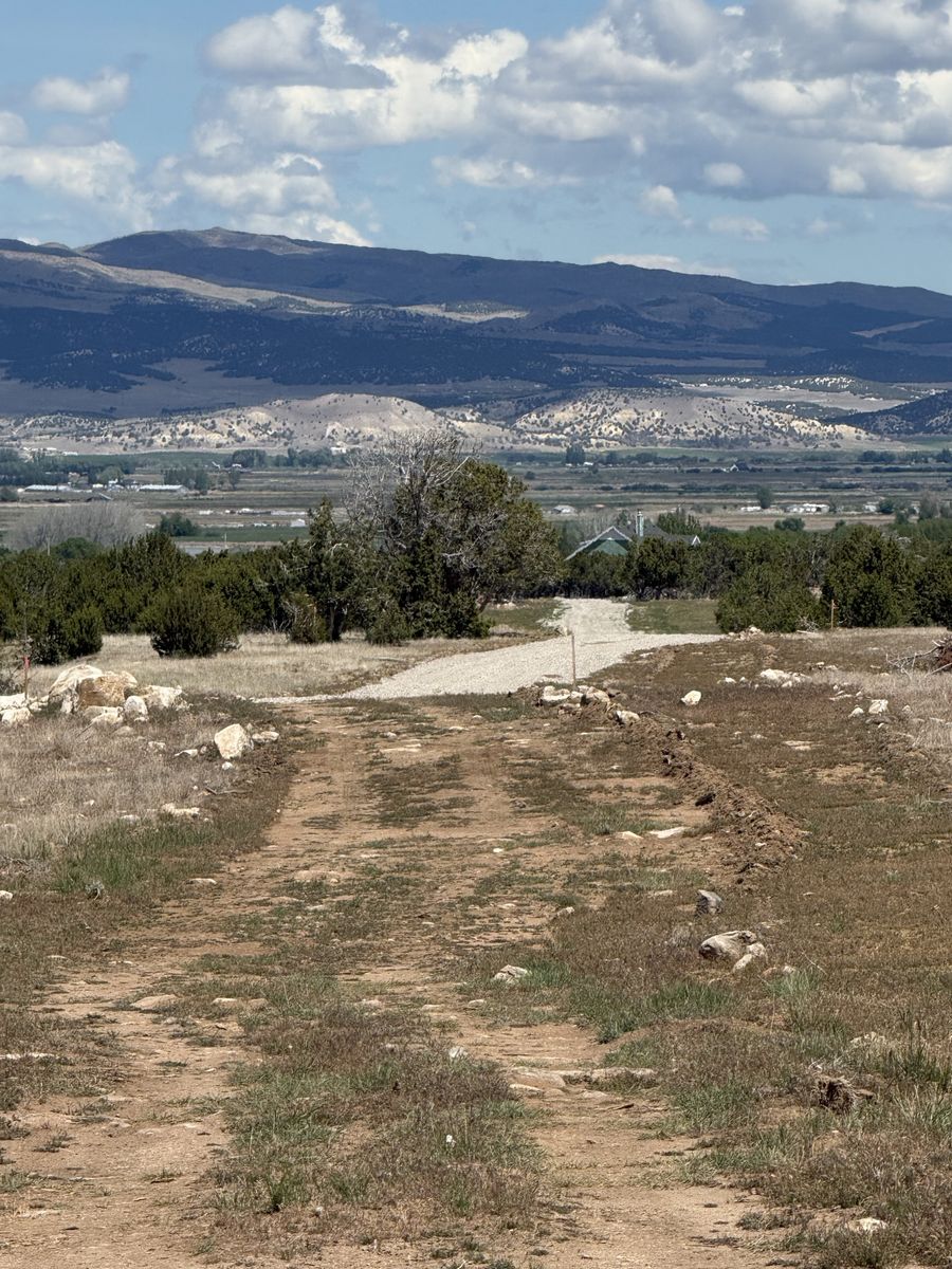 Main image 5