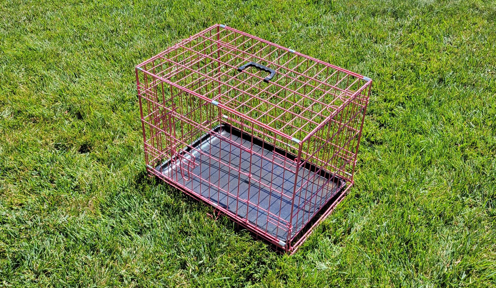 Animal Crate/ Carrier