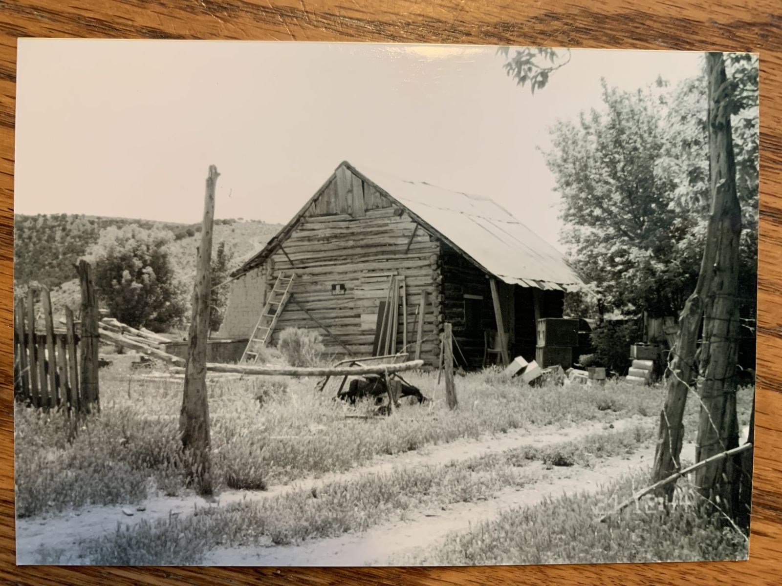 Frontier Log Home For Sale - from 1880s