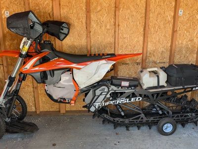 2019 Timbersled ARO 3 129LE