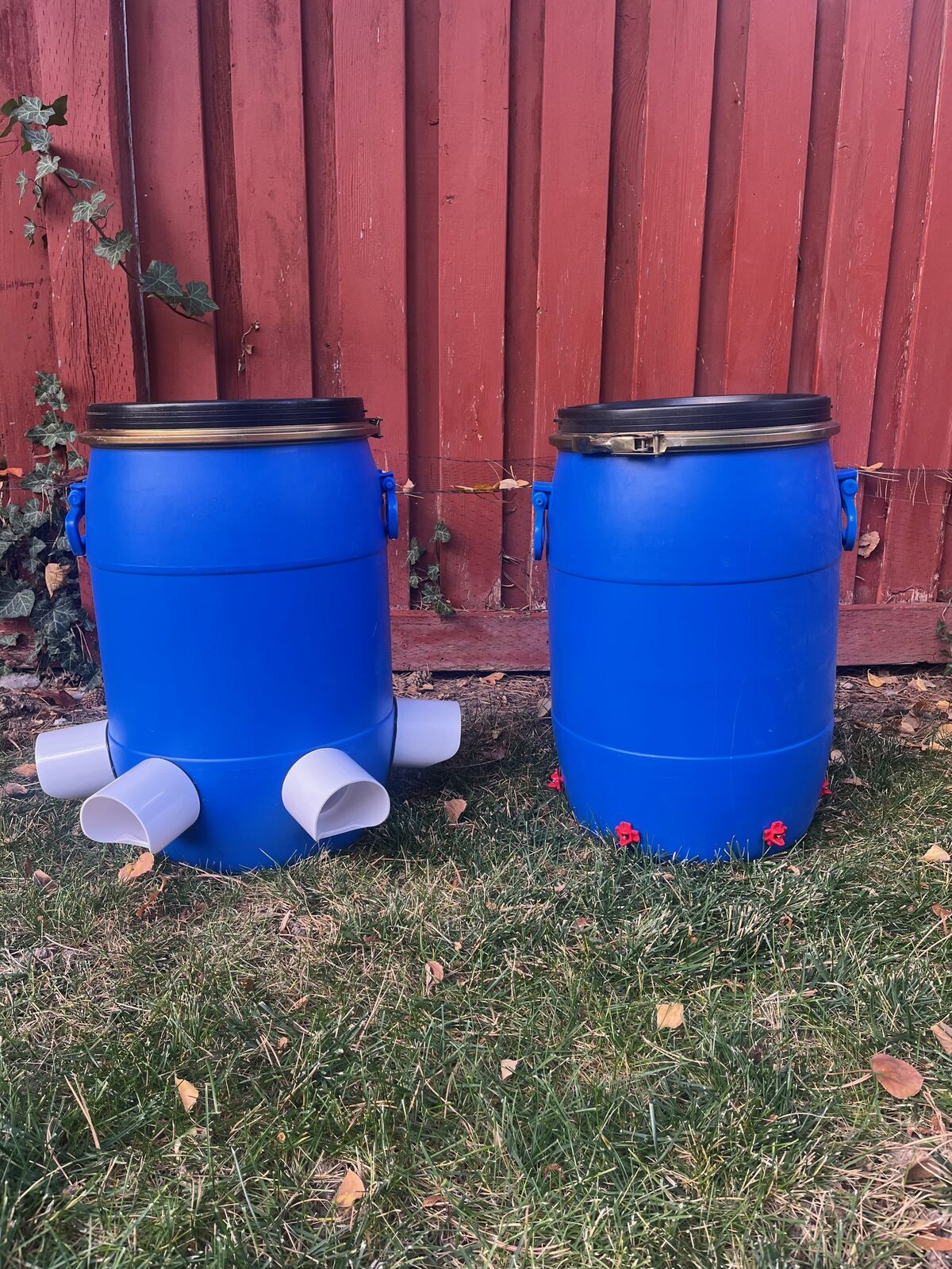 NEW Blue Barrel Chicken Feeder and Waterer (Drinker) Set