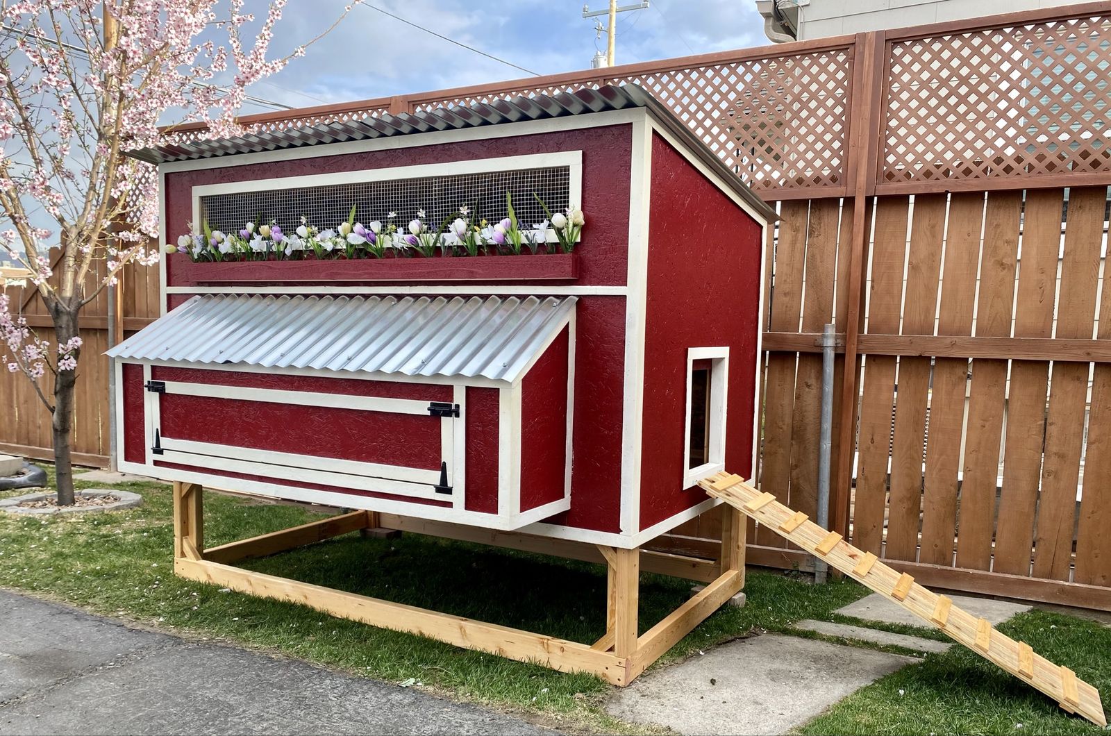 New Solid Wood Painted Chicken Coop