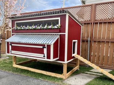 New Solid Wood Painted Chicken Coop