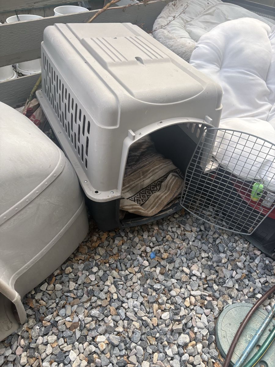 Dog Kennel & Dog Igloo