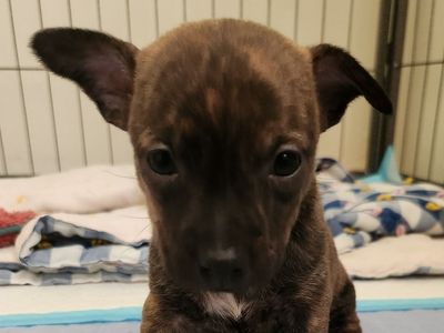 Hello my name is Sage