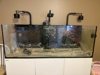 Red Sea Aquarium tank only