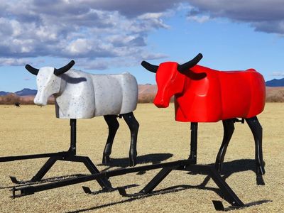 Roping sleds for sale