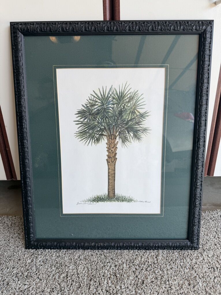 Palmetto - Susan Harkey Howard