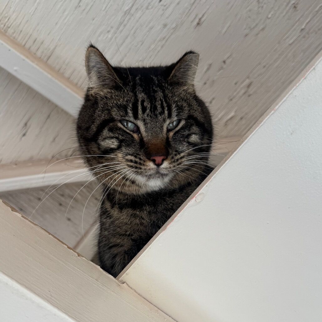 Hello my name is Kendrick