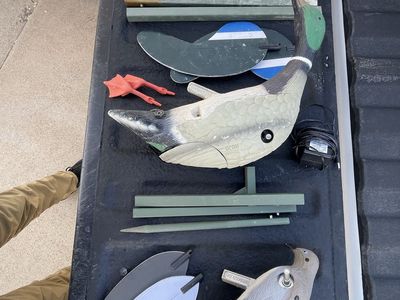 Mojo Dove & Duck Decoys