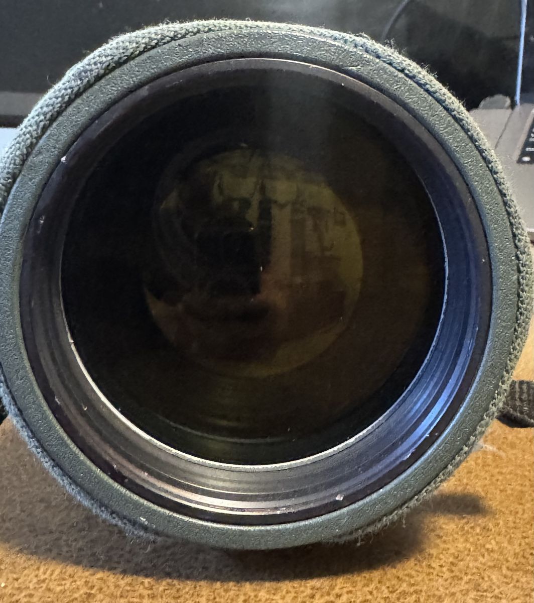 Main image 7
