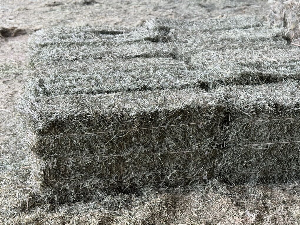 Alfalfa/Orchard Mixed Three String Hay Bales