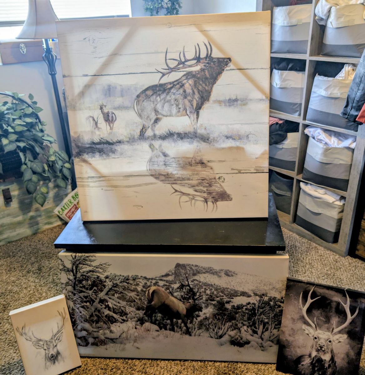 set of 4 wildlife canvas prints $75 located in Roy venmo or cash fcfs 