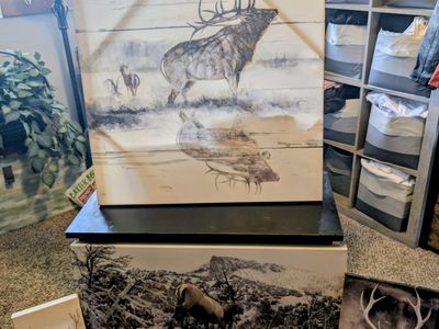set of 4 wildlife canvas prints $75 located in Roy venmo or cash fcfs