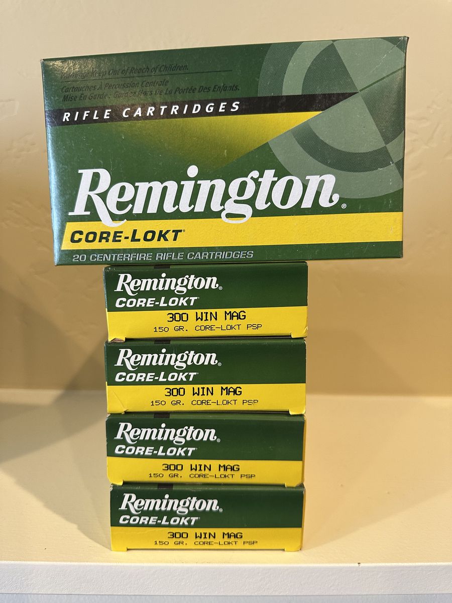 Remington 300 Win Mag Ammo