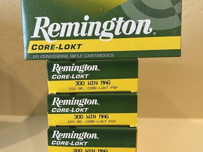 Remington 300 Win Mag Ammo
