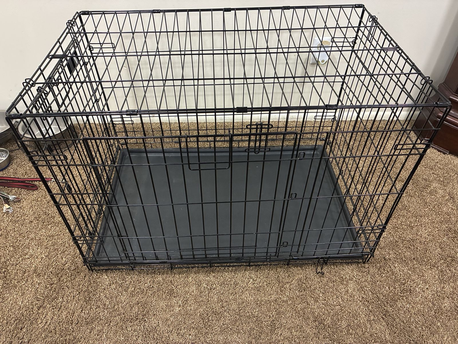 Dog kennel and supplies