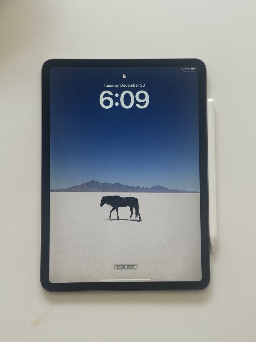 Apple IPad Pro 11 inch 256 GB
