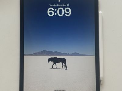 Apple IPad Pro 11 inch 256 GB