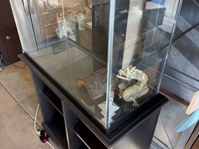 50 gallon Terrarium