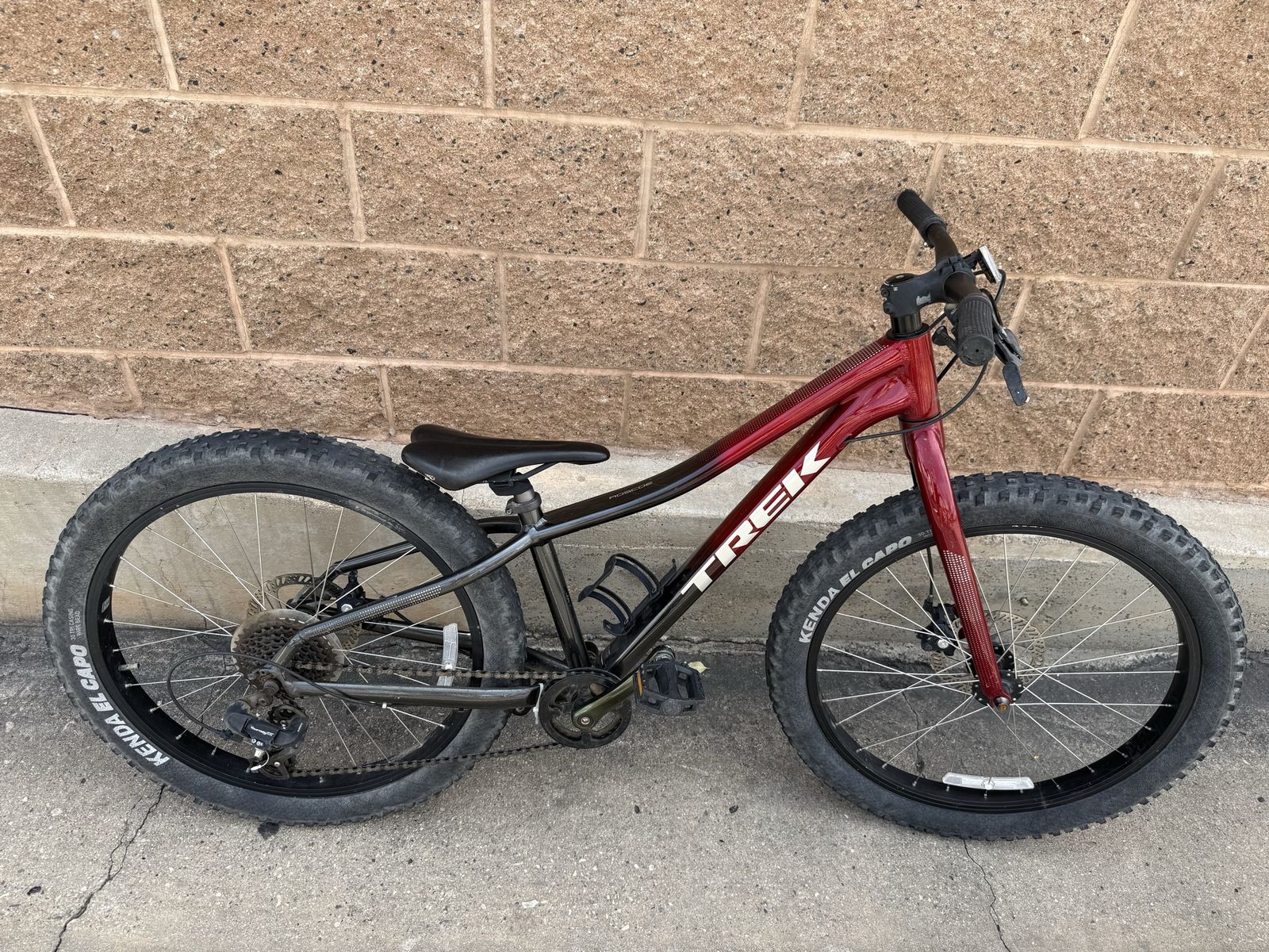 Trek Roscoe Kids Bike