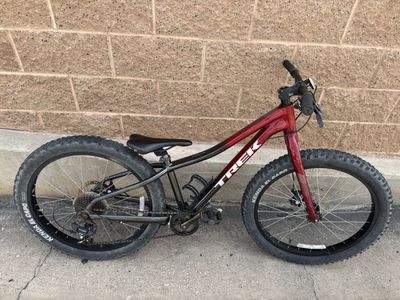 Trek Roscoe Kids Bike