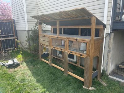 Chicken/Rabbit Hutch