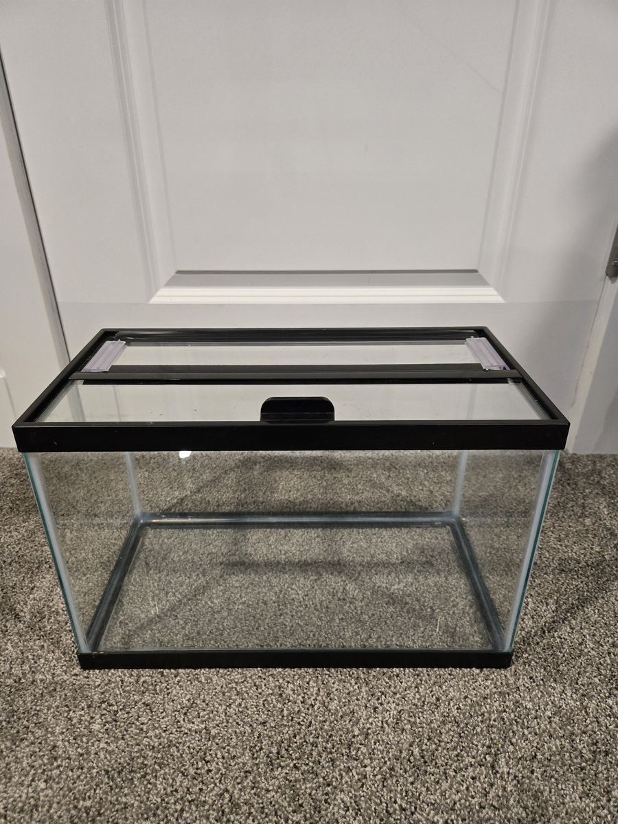 Nano Tank, 5.5 Gallon- includes a glass lid