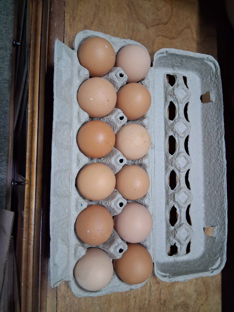 Farm fresh Eggs
