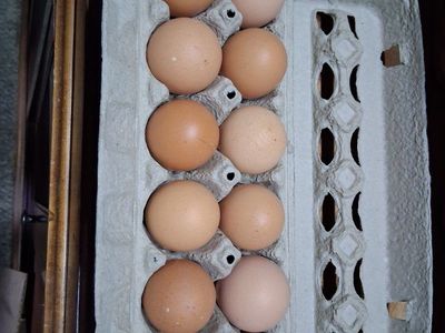 Farm fresh Eggs