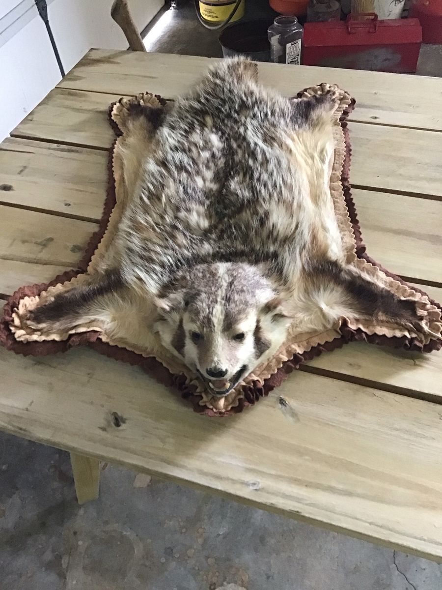 Badger floor rug