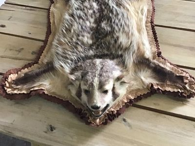 Badger floor rug