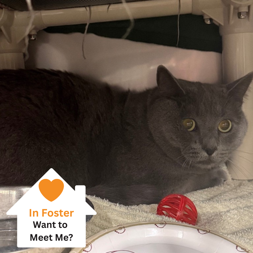 Hello my name is Sebastian