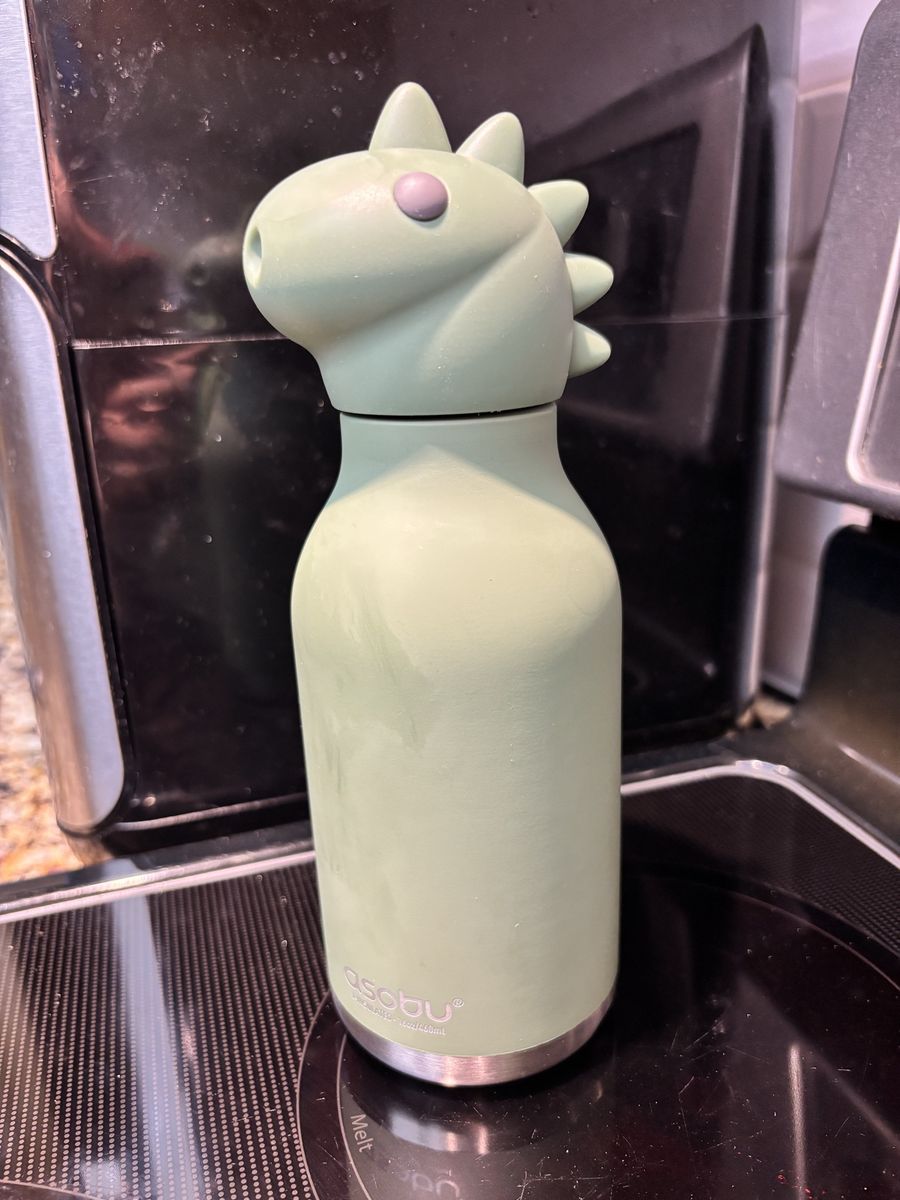 Asobu 16 oz Green Stainless Steel Kids Dino Bottle